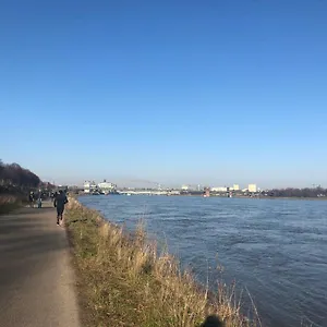 Rheinblick Sommershof Köln